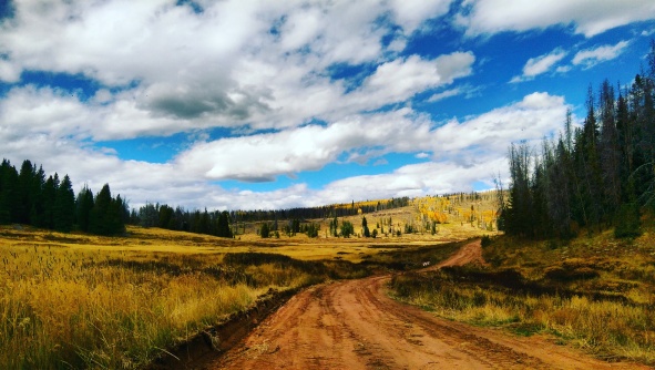 Dirt Road off the forestry road to White River National Forest - Vail Colorado - Painting - photo looks like a painting - nature - landscape